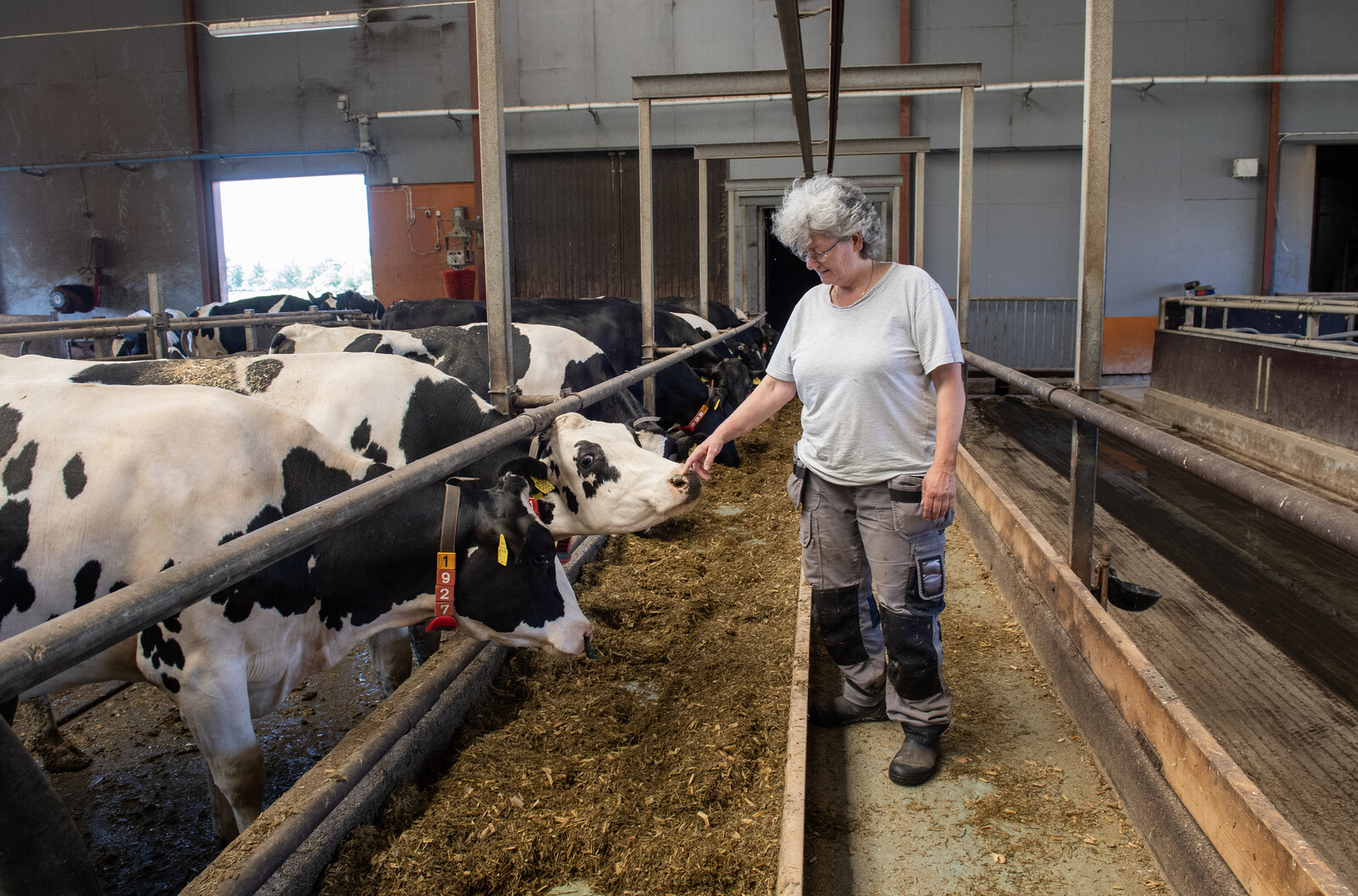 Swedish Farm Ends 25 Years