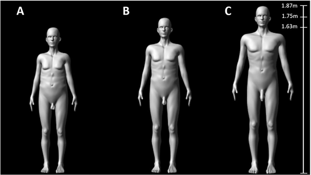 How threatening is a big penis? Study finds men view larger penises as rivals, women see limits to attractiveness