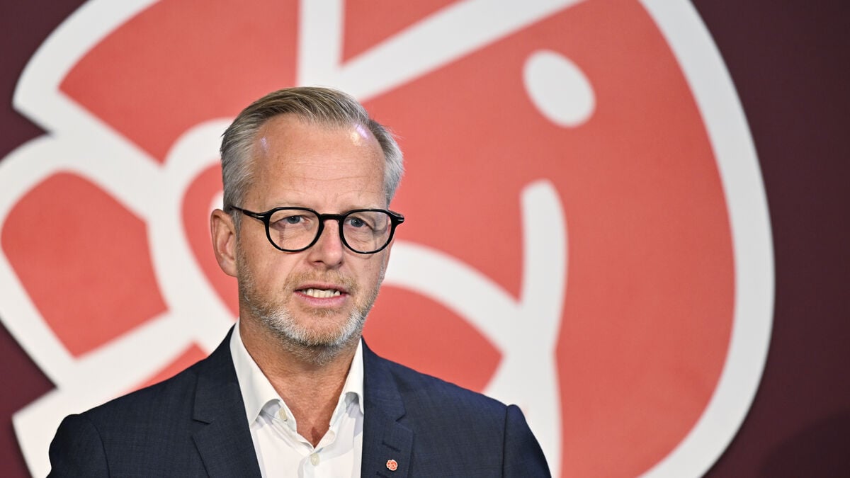 Social Democrats say they can cut waste and save up to 95 billion kronor in tax money