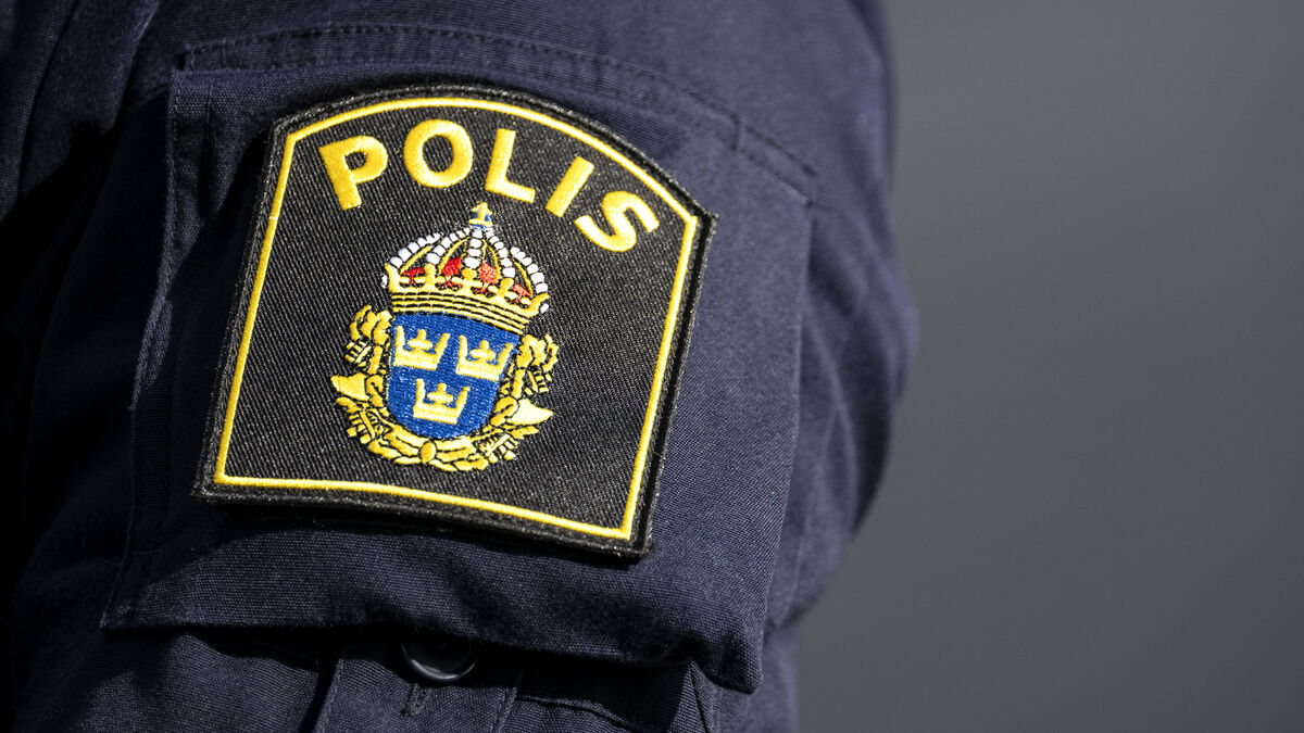 Police classify hooligans in Region West as criminal networks