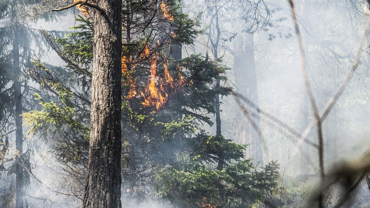 SMHI expands forest fire warning to almost all of Norrland coast