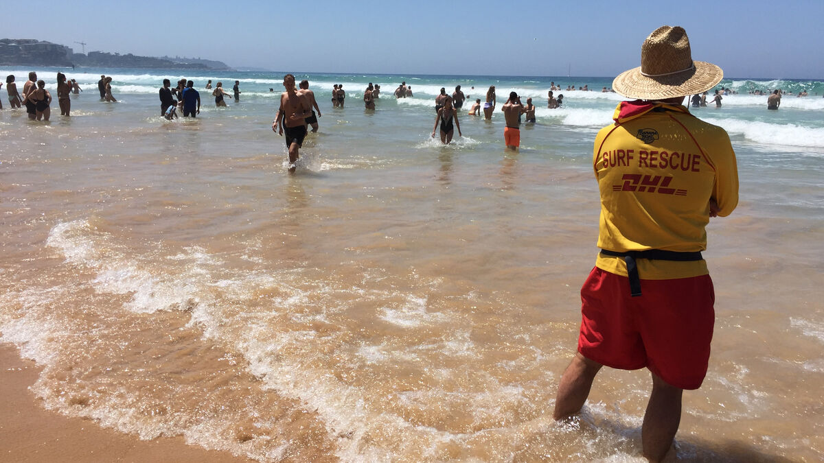 Three shark attacks in one