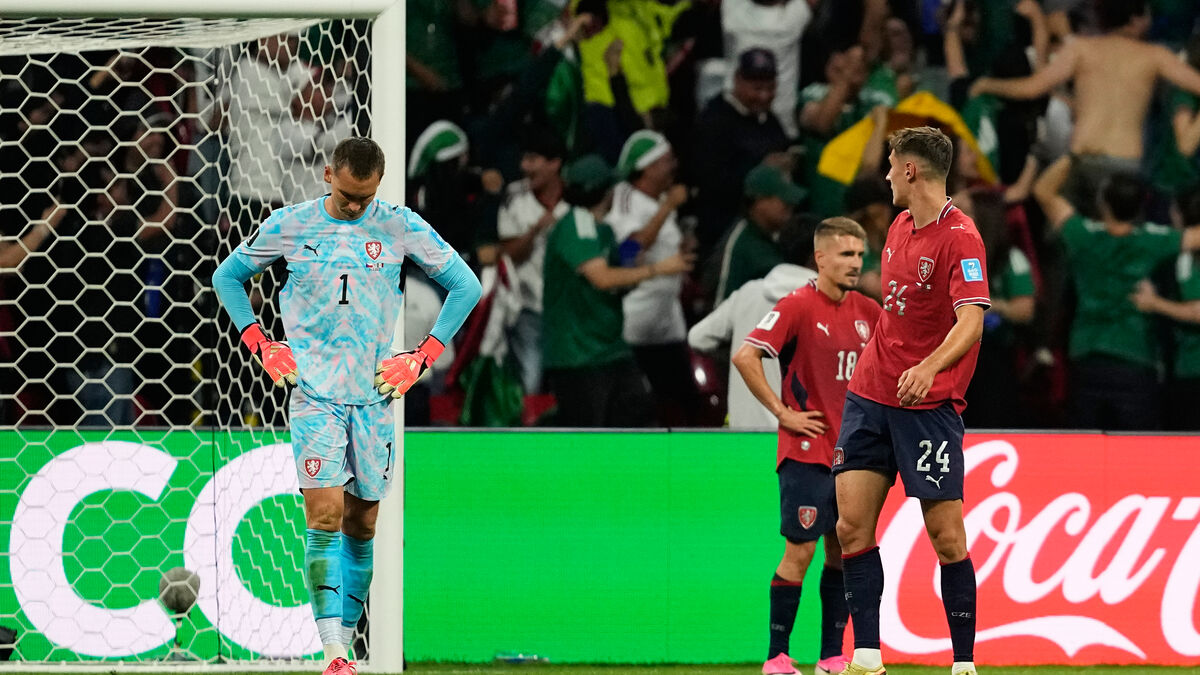 Mexican fans sang homophobic chant