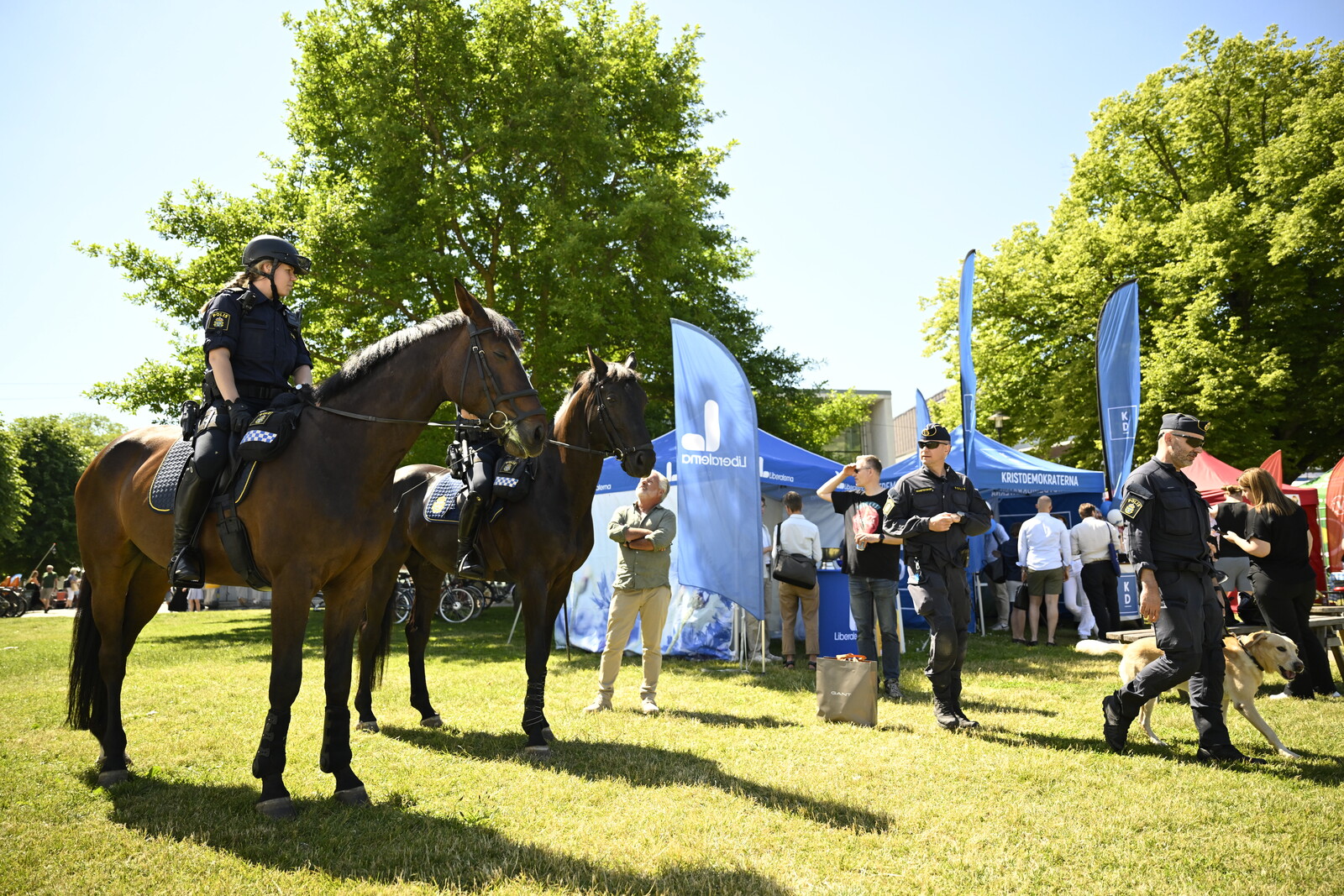 Lowered Threat Level Won't Impact Almedalen Security Efforts