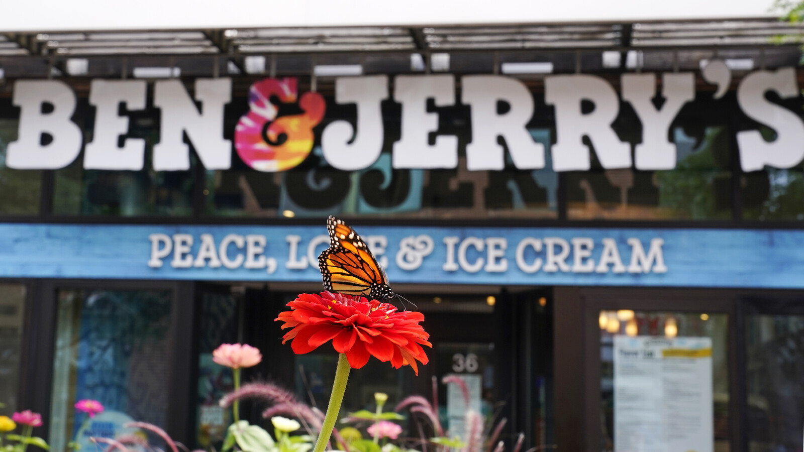 Ben & Jerry's Co-Founder Seeks