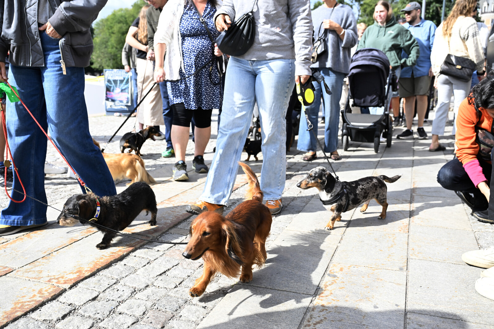 Taxi Parade Causes Major Traffic Jams in Stockholm