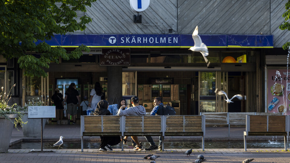 Government and Sweden Democrats to halve price of monthly public transport passes nationwide from July 1