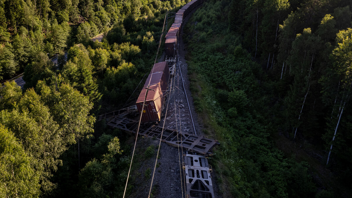 Train services between Gothenburg and Borås resume after three-week closure