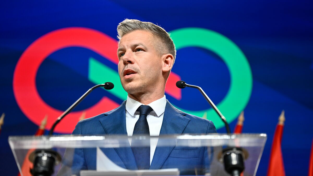 Péter Magyar opposes fast track