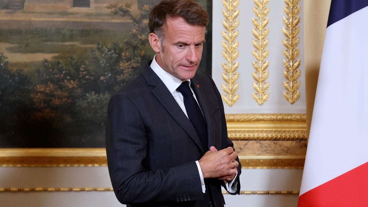 France’s social media ban for under-15s blocked by constitutional court