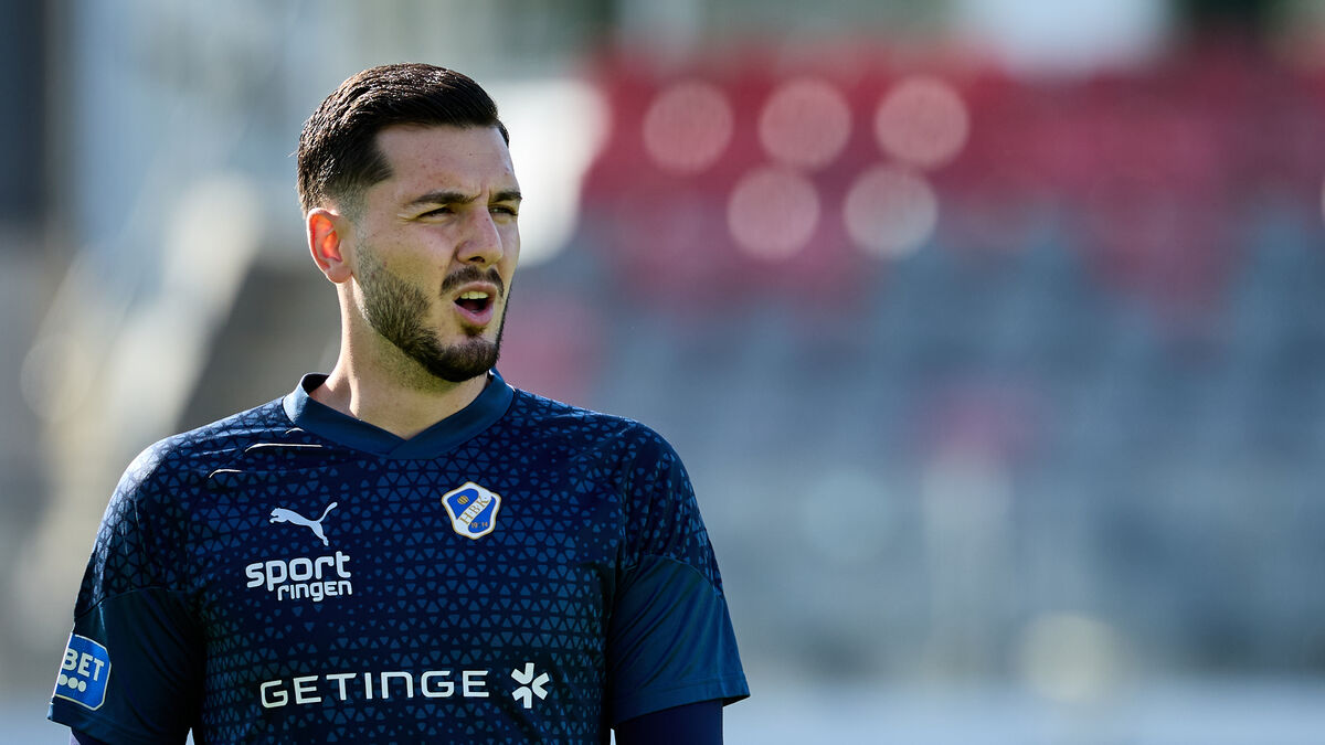 Swede goalkeeper Marko Johansson fled