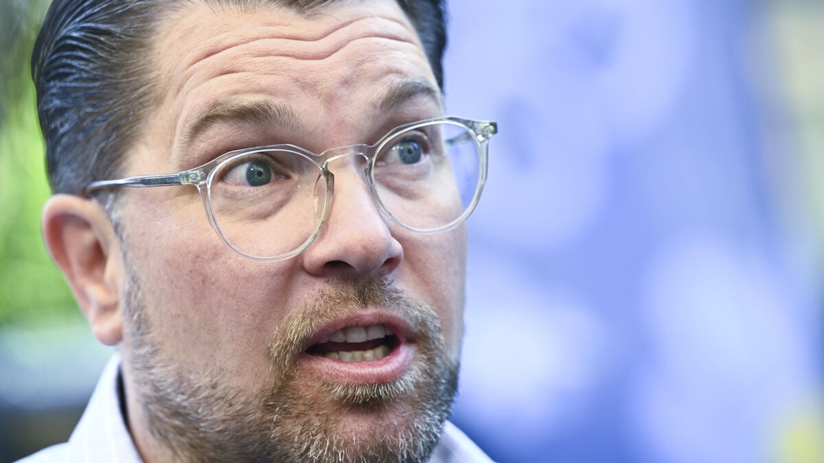 Jimmie Åkesson says he aims to become prime minister in 2030 or later