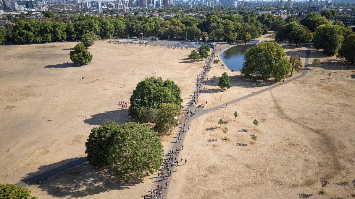 Germany heatwave death toll hits 14,000 as Europe faces deadly summer heat