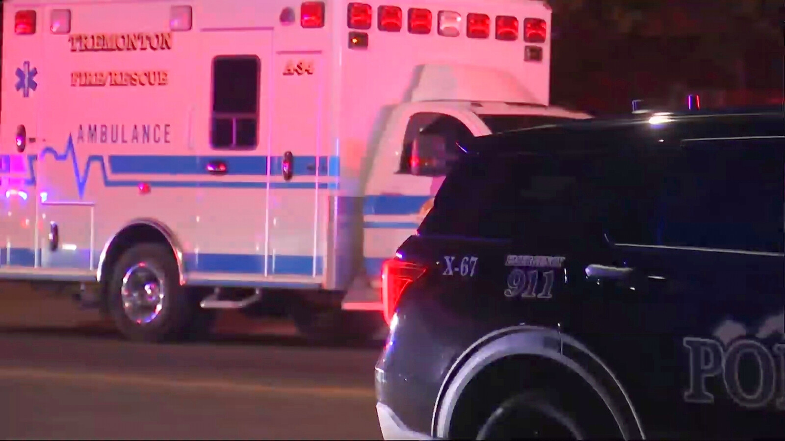 Two Police Officers Killed in