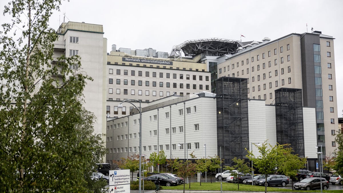 Two more measles cases linked to Urkult festival outbreak