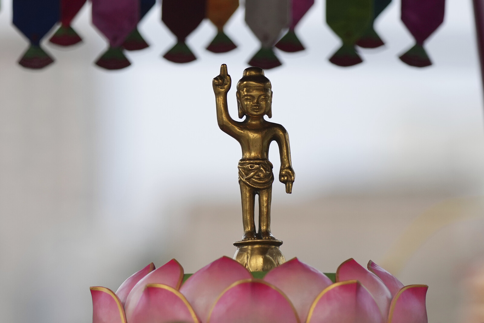 India Seeks to Halt Auction