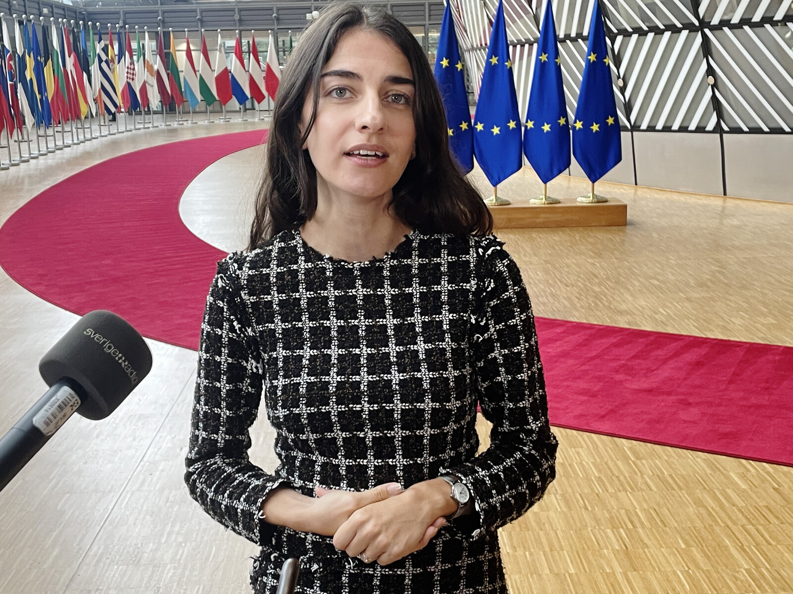 EU Climate Goals Stalled as