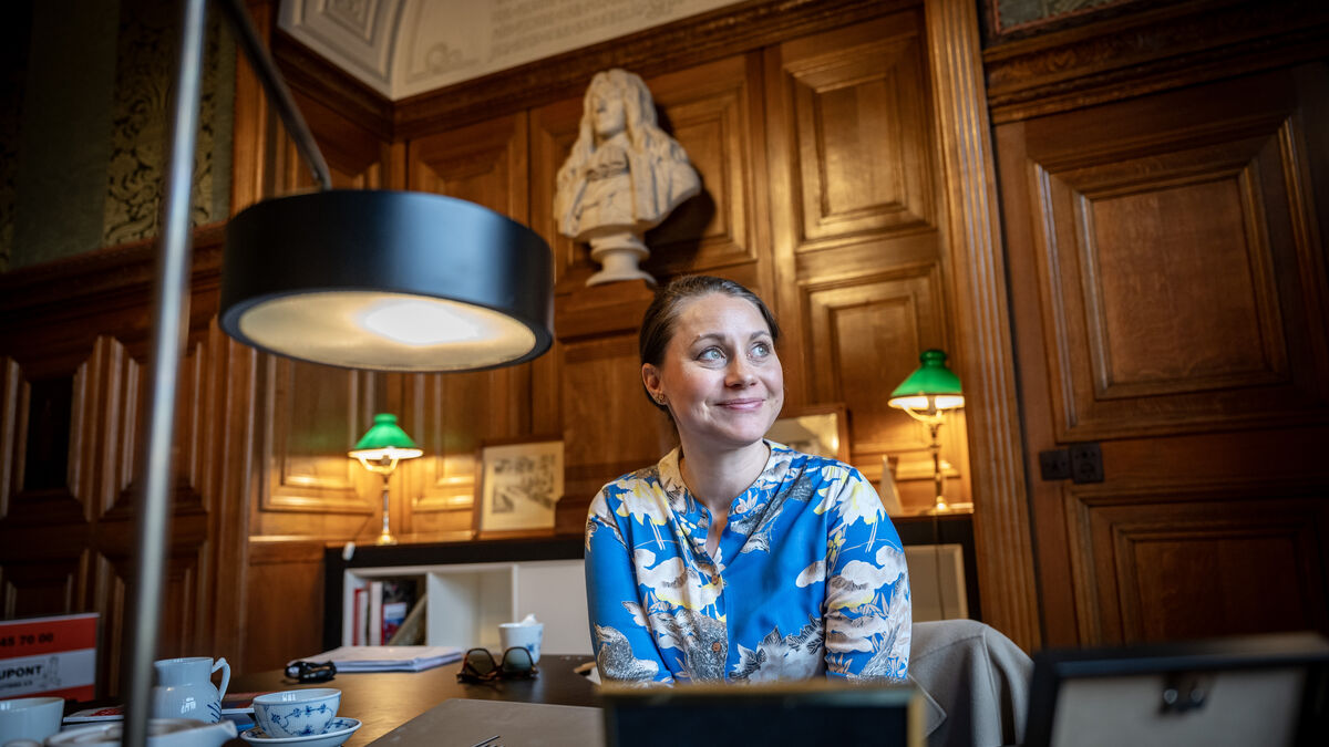 Danish politician wants to attract unemployed workers from Skåne