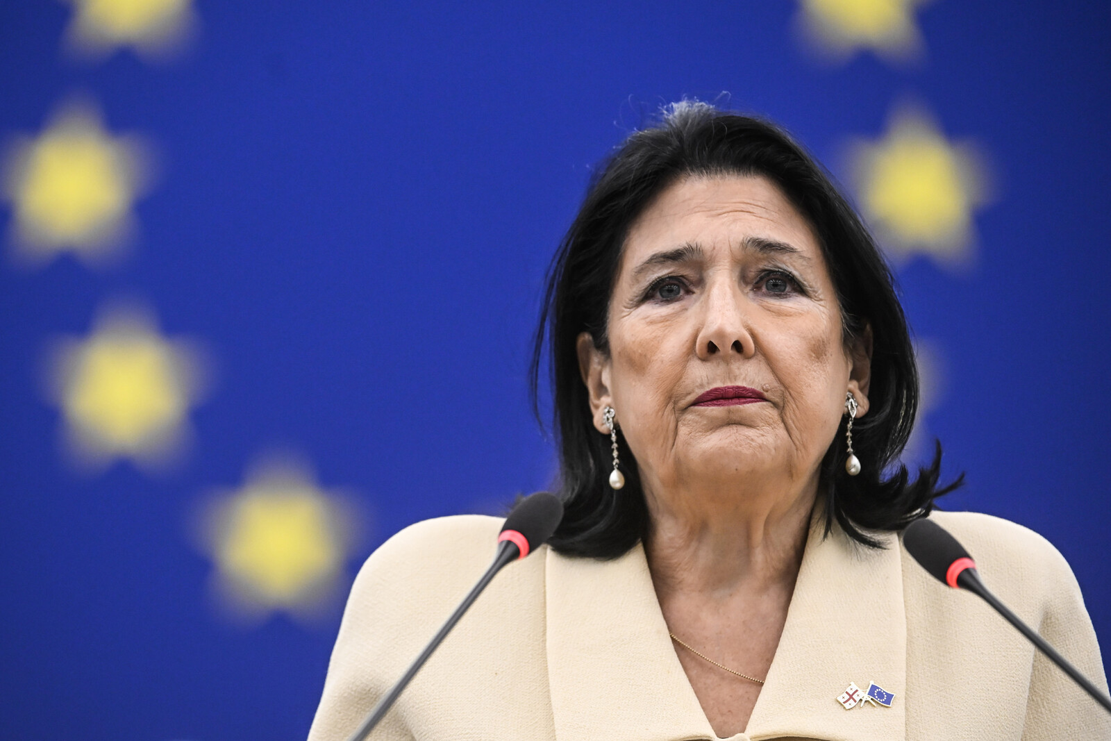 Georgia's President Challenges EU: Apply Pressure Now