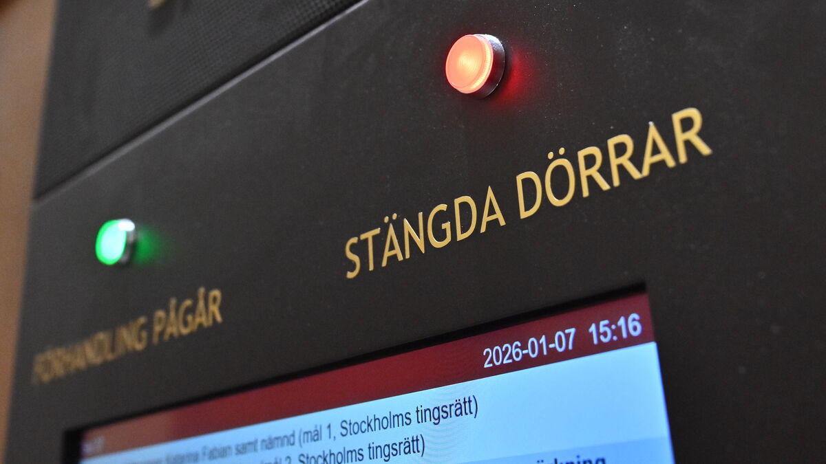 Former Swedish Defense IT Consultant