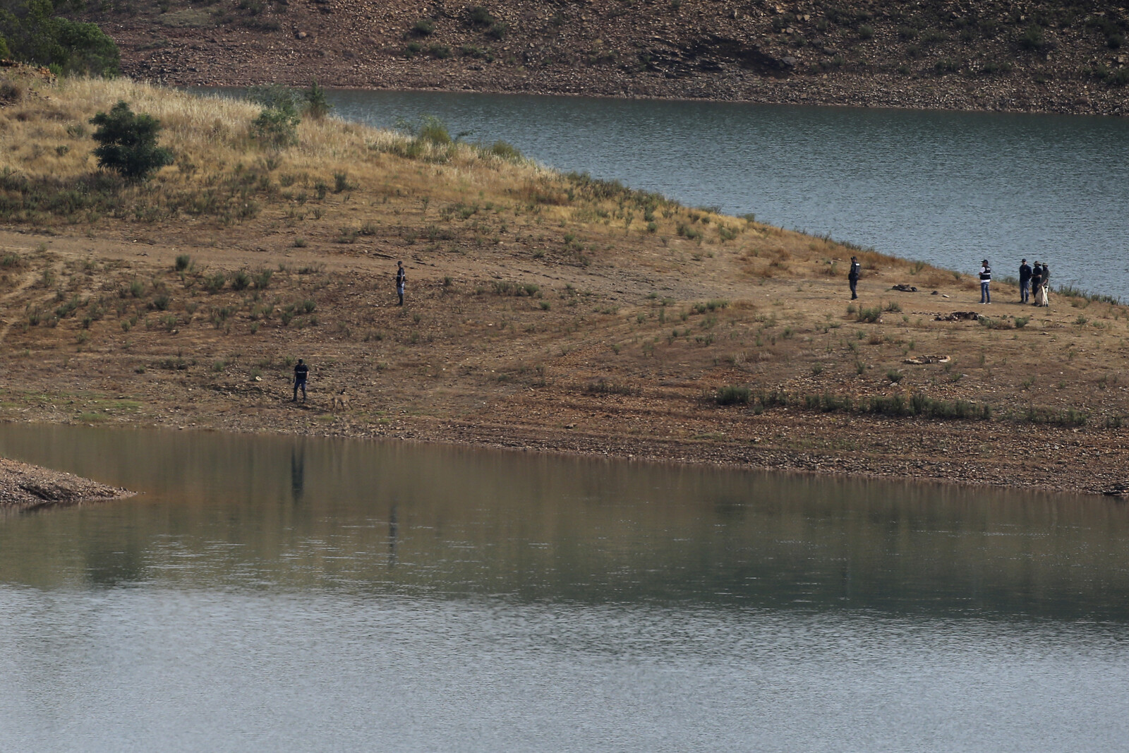 New Search Launched in Portugal