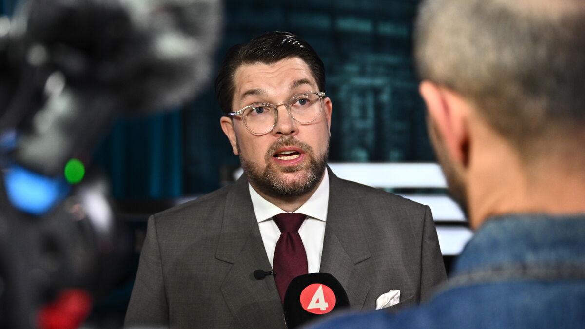 Amanda Lind to Åkesson: Stop with false accusations