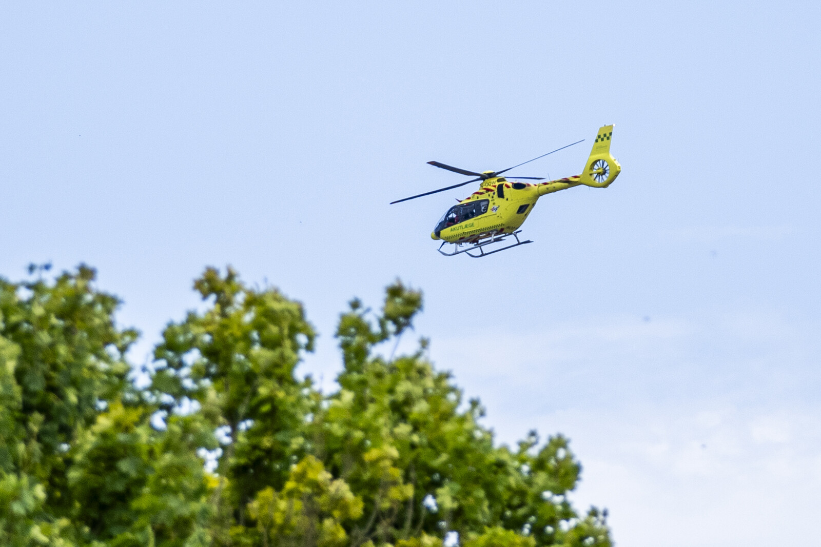 Roskilde Festival Visitor Dies in Drowning Accident