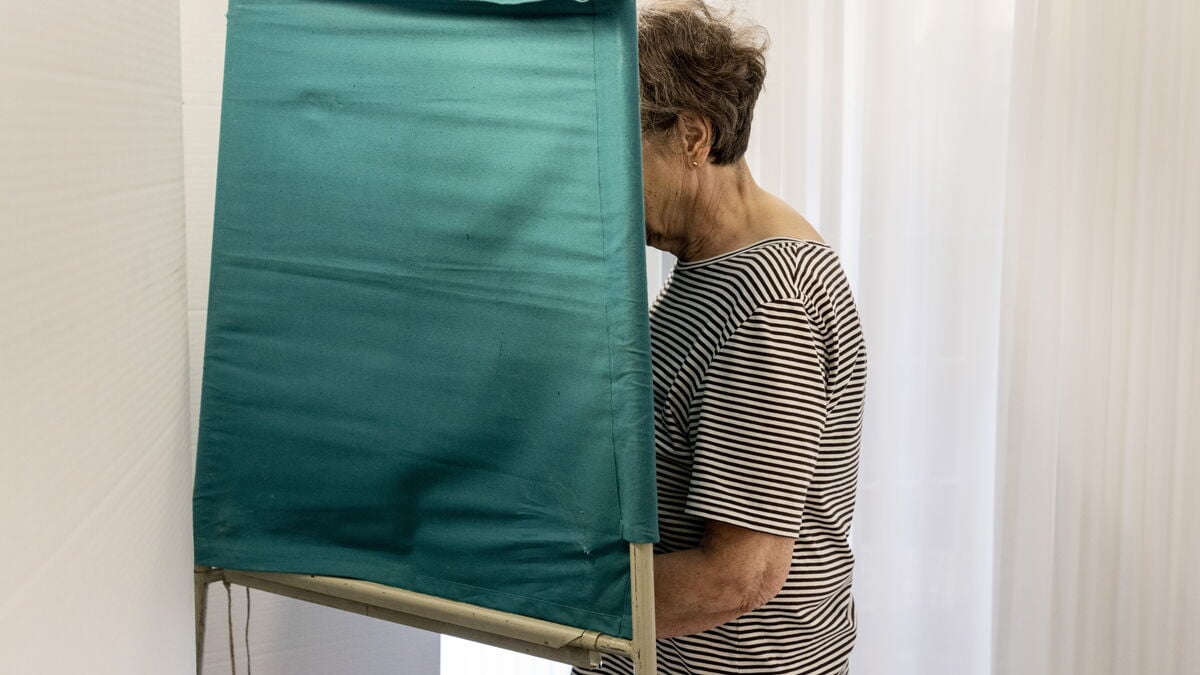 Sweden’s party voters: Surveys show the typical supporter of each party