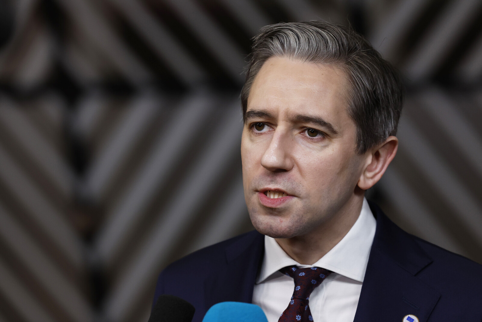 Ireland Proposes Ban on Trade with Israeli Settlers in West Bank