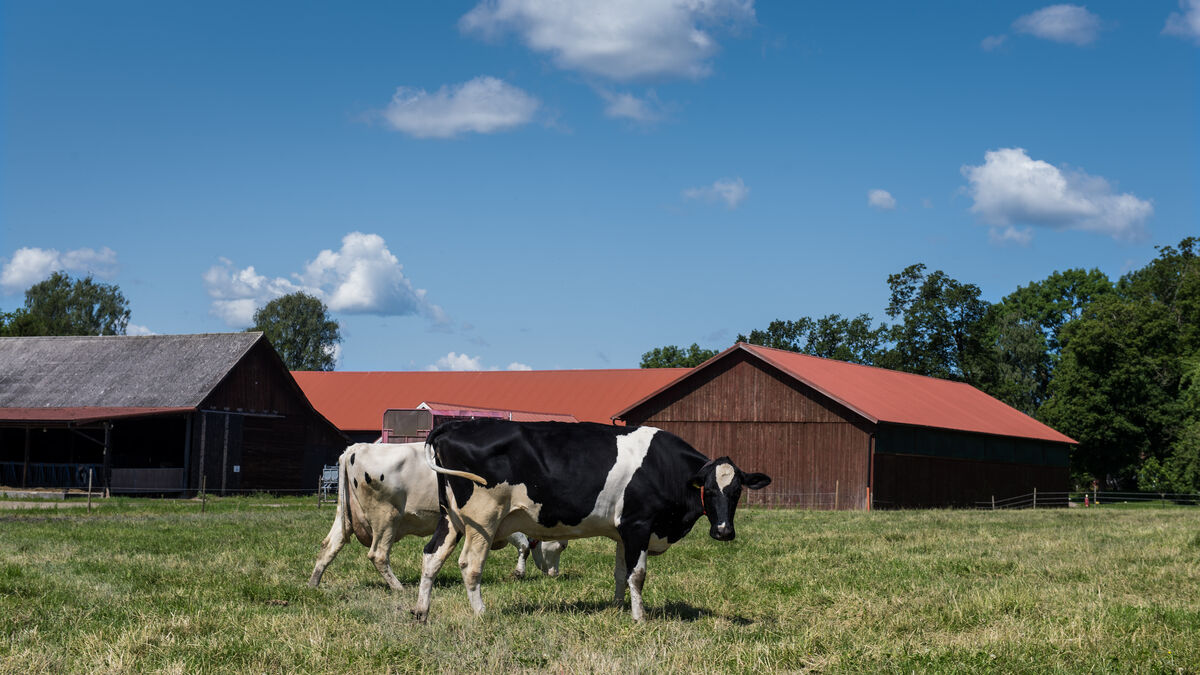 Billions in support for Swedish agriculture in crisis package