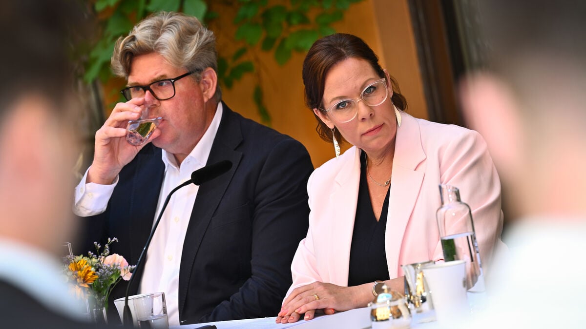 Moderates want femicide to be a new crime category in Sweden