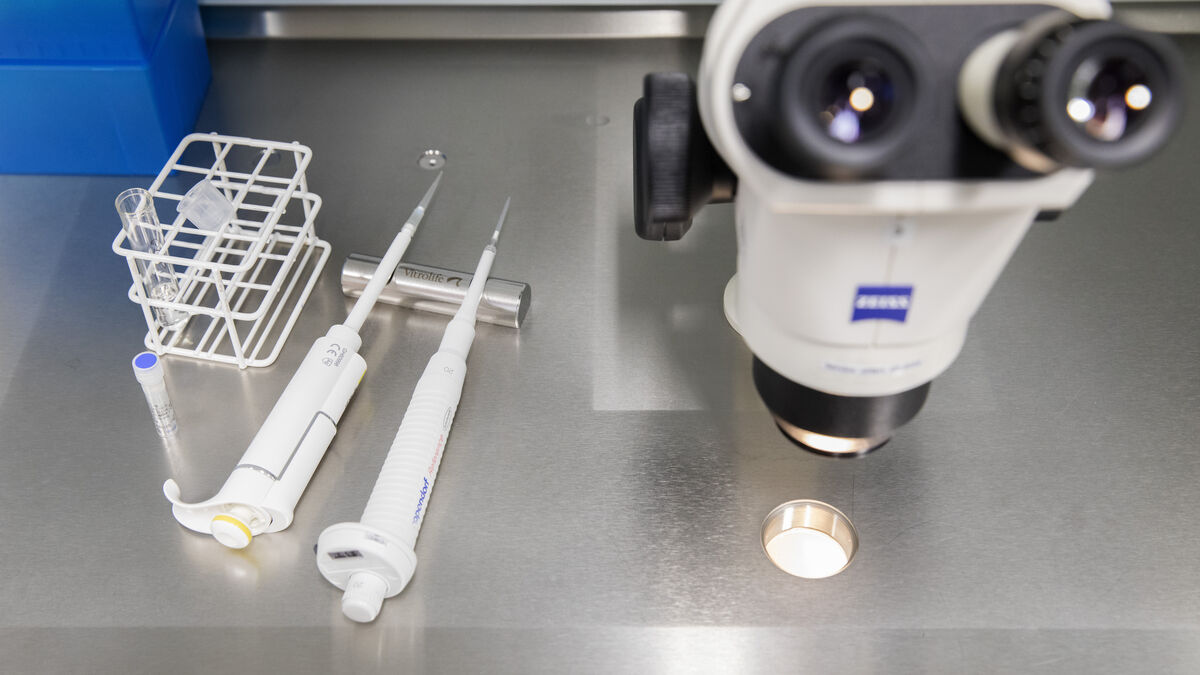 Swedish study says gut flora in stool tests could help predict type 2 diabetes risk