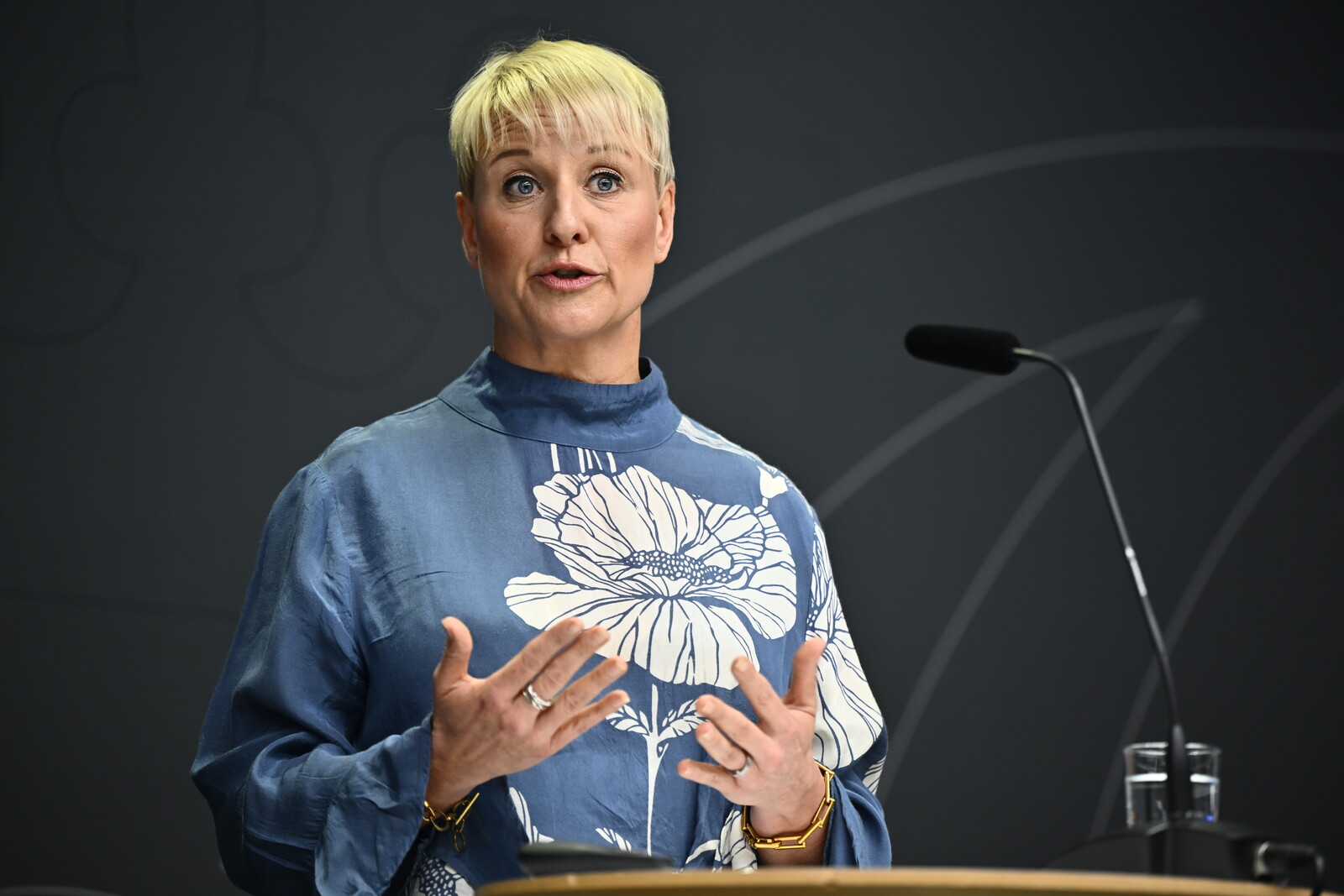 Sweden Expands Support to Ukraine's Elderly Care