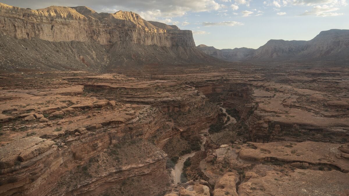 More than 20 missing after flash flood hits Grand Canyon, forces evacuations