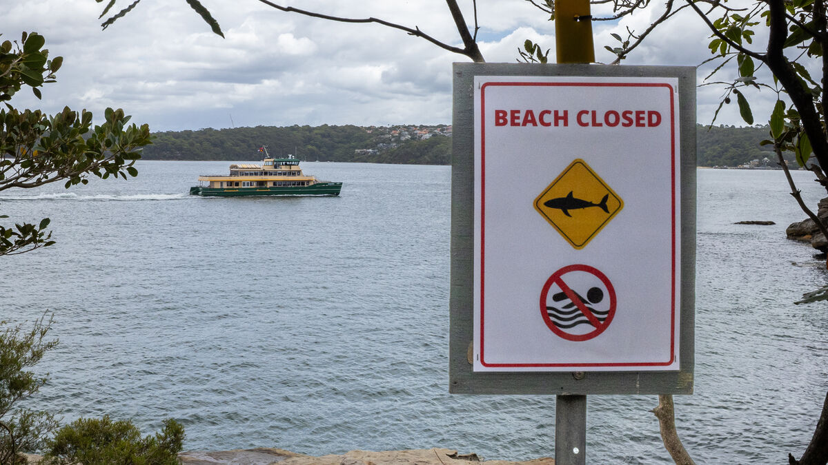 Another shark attack in Australia: