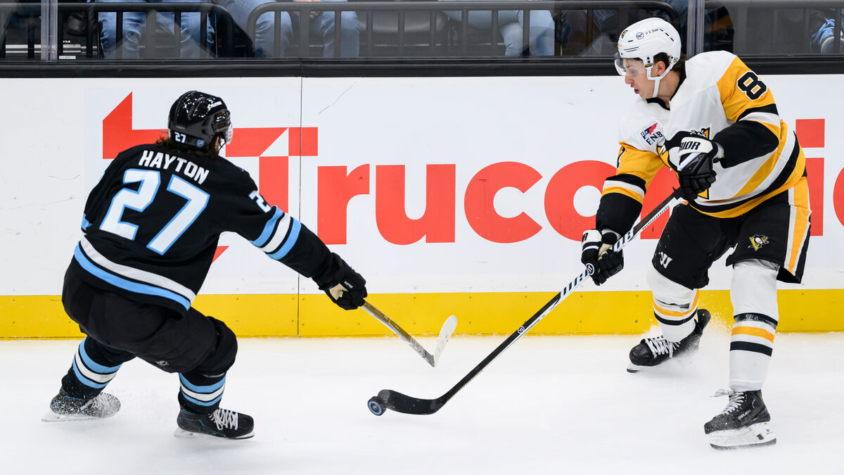Penguins Make Emergency Landing After 19-Year-Old Ben Kindel Falls Ill ...
