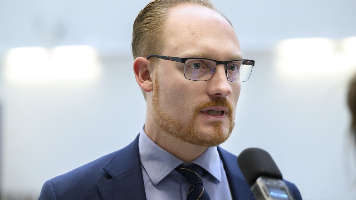 SD leader ready to become foreign minister