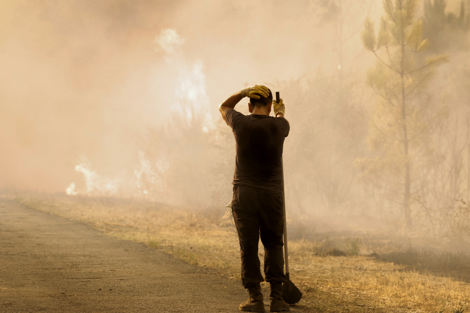 Forest Fires Devastate Southern Europe