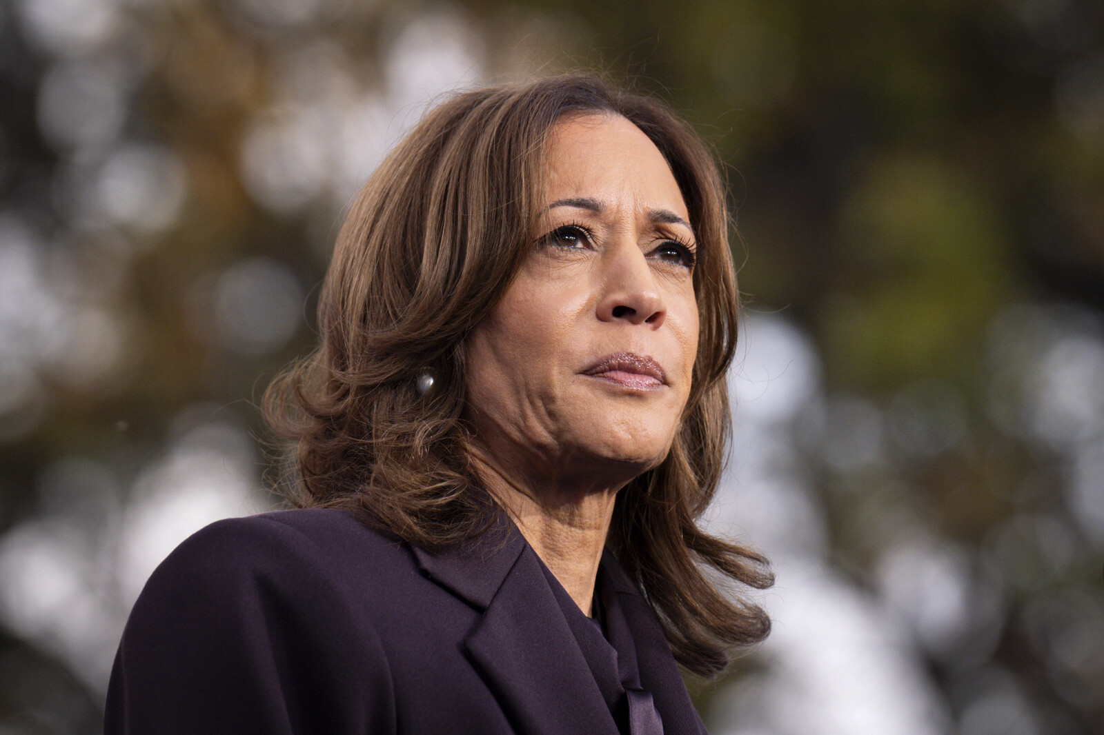 These are the voter groups that rejected Harris