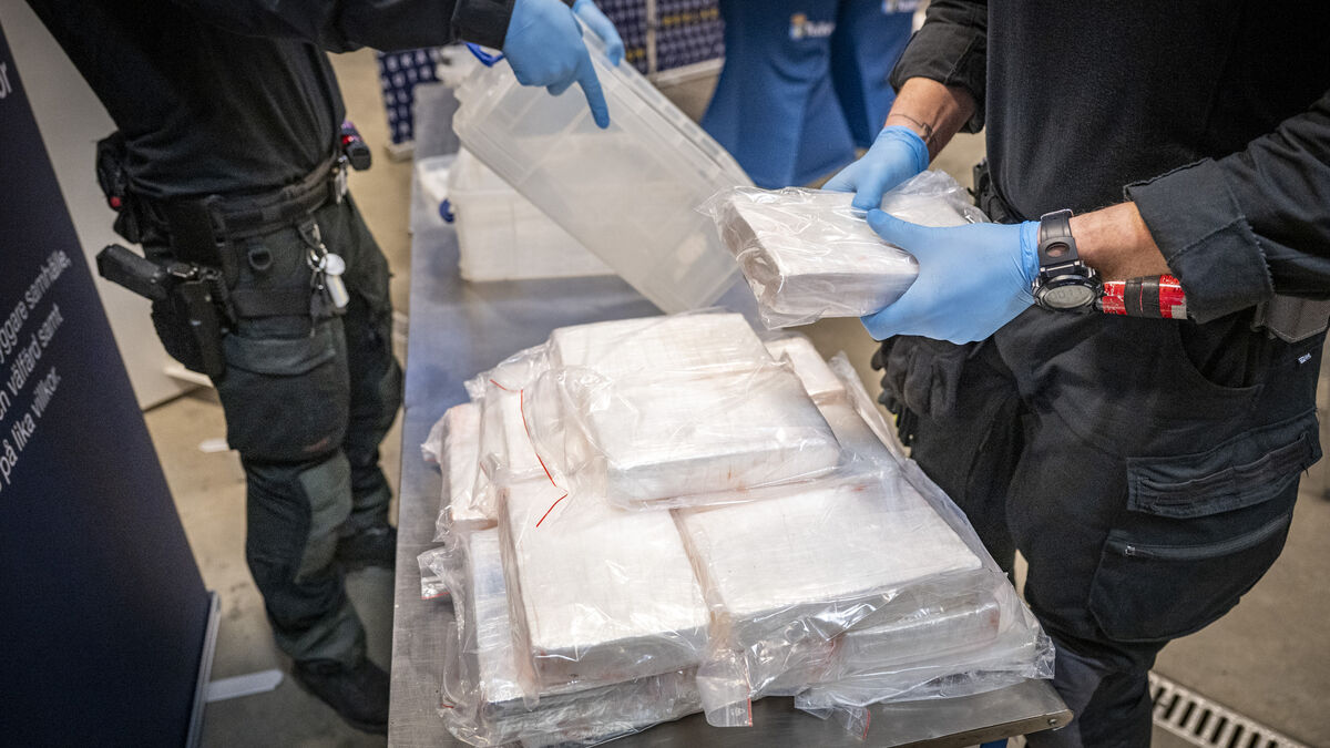 Huge drug seizures in Sweden - street price remains unchanged