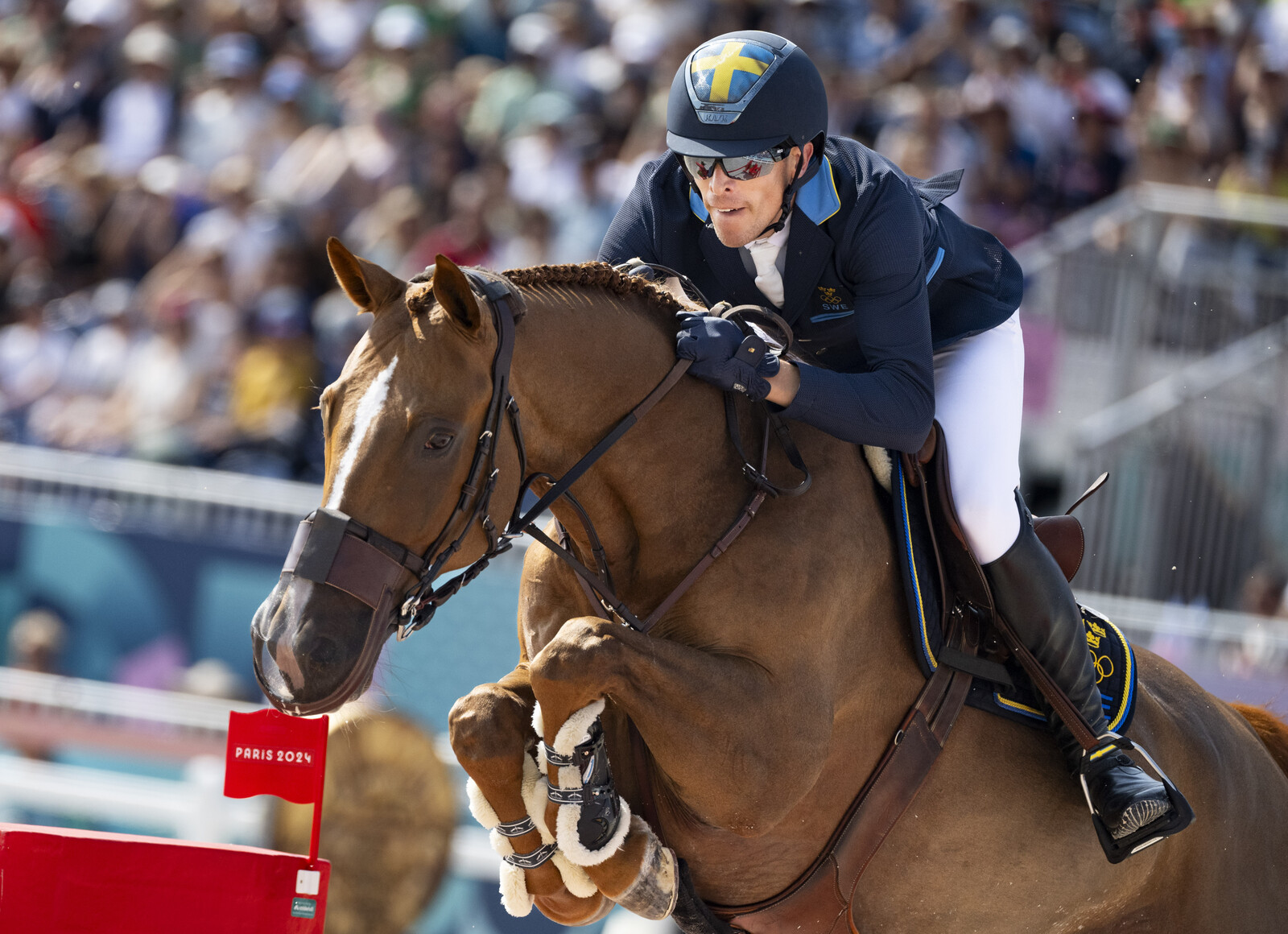 After the latest setbacks – the star horse gets a break