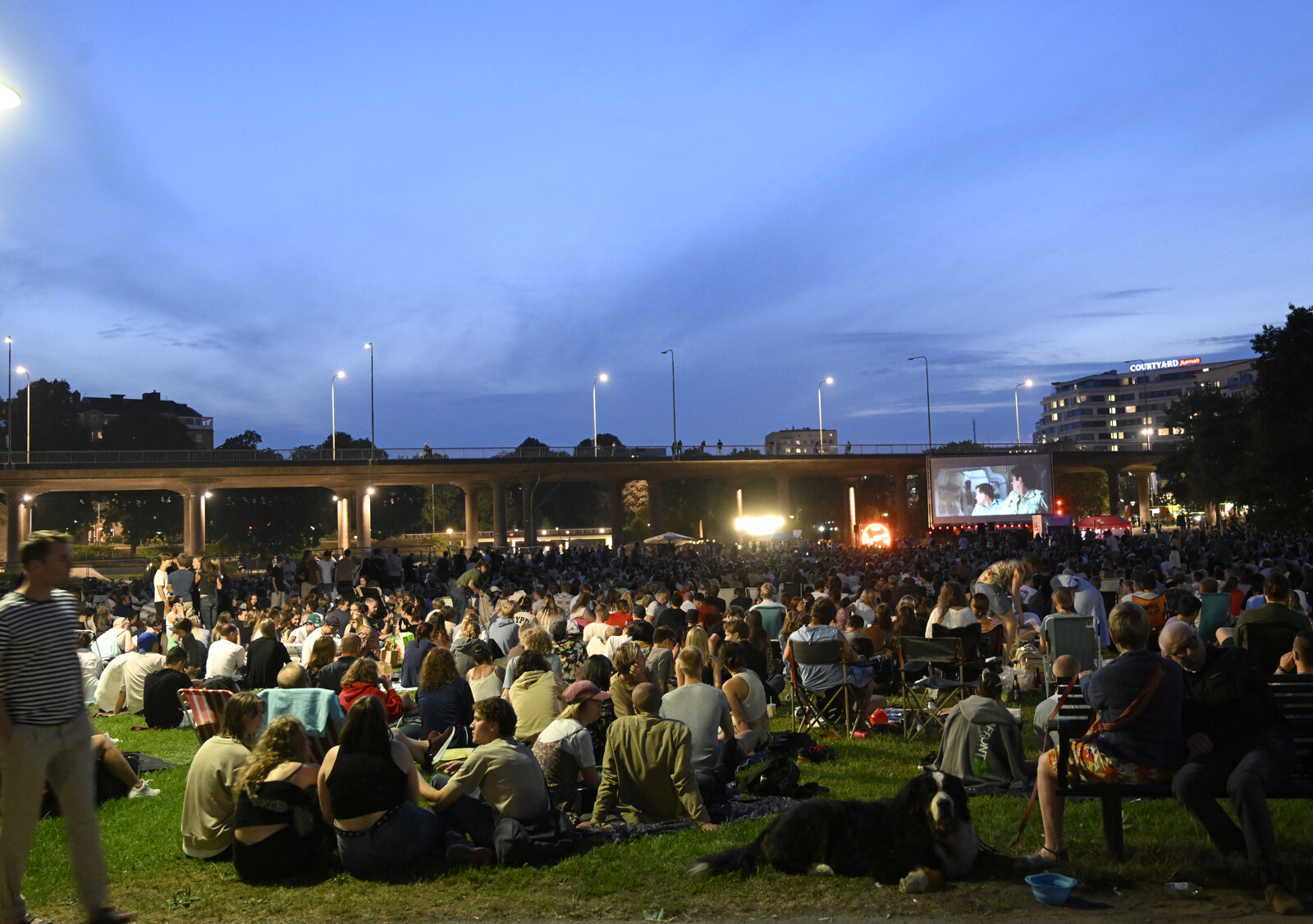Stockholm Summer Cinema Celebrates 35 Years with Waterfront Screenings