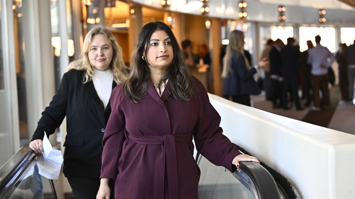 Nooshi Dadgostar could become minister of housing, says she has extensive experience