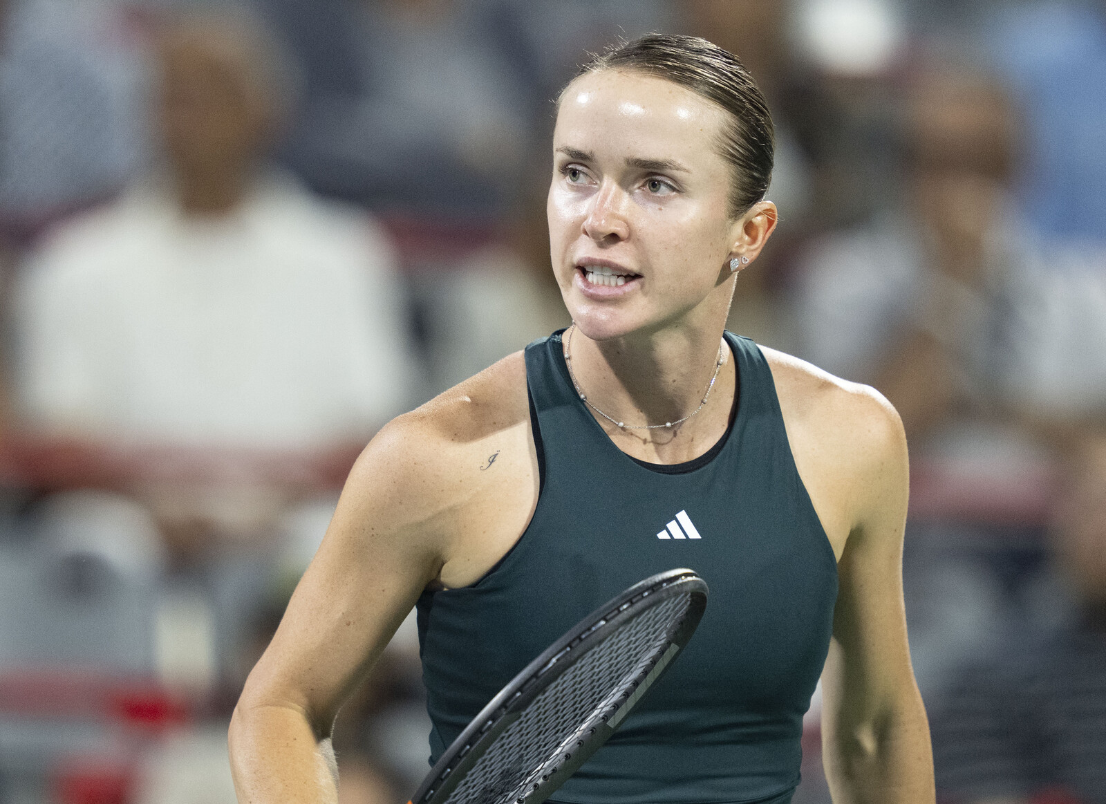Elina Svitolina Faces Online Harassment from Betting Players