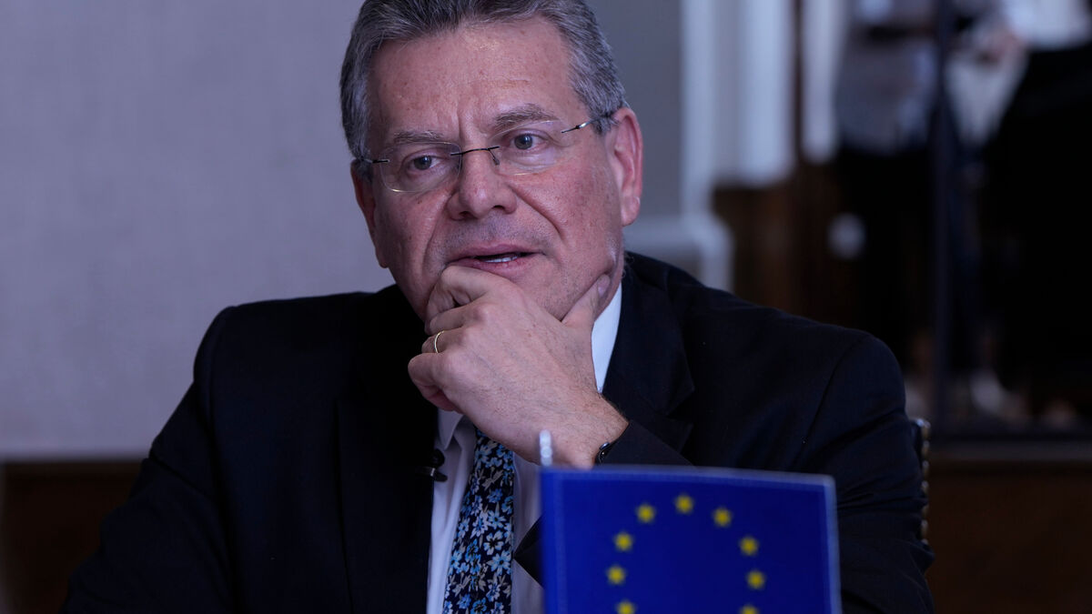 EU can force companies to buy less from China