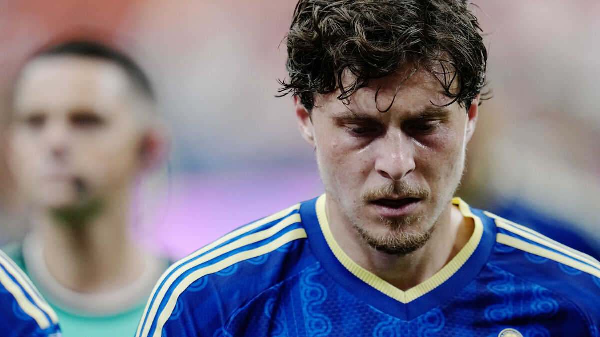 World Cup setback: Sweden outclassed by the Netherlands