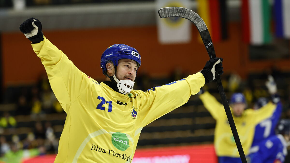 Sweden's new blue-yellow World Cup