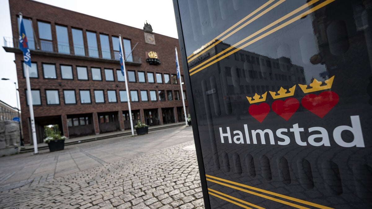 Halmstad schools drop directory after offensive TikTok comments