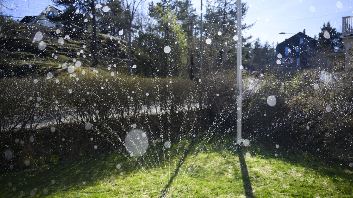 Irrigation ban on large parts of Gotland until September 1