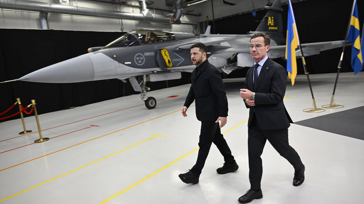 Ukraine Seeks Over 100 Swedish